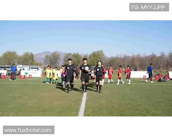 石玲足球：从草地到荣耀的奋斗之路与梦想追逐的精彩瞬间