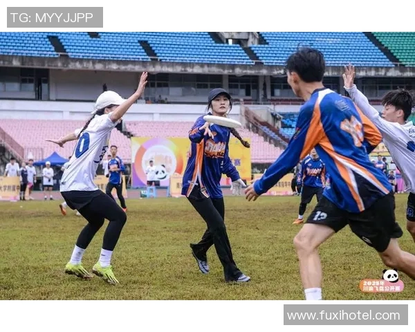 重庆飞盘队如何通过阵地战革新提升竞技水平与团队协作能力