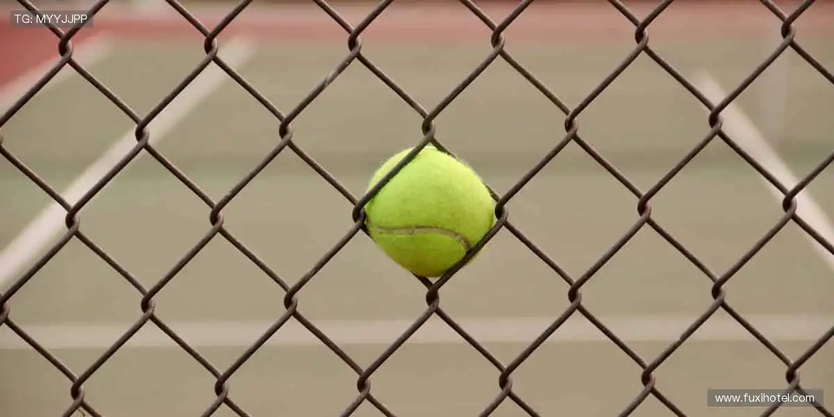 📱 指尖轻点，全球赛事实时掌控！🎥