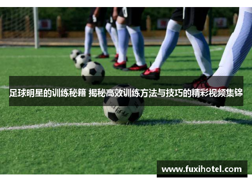足球明星的训练秘籍 揭秘高效训练方法与技巧的精彩视频集锦