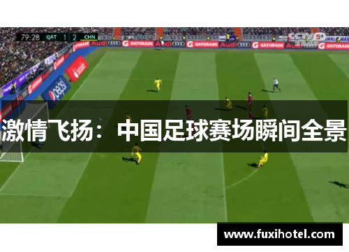 激情飞扬：中国足球赛场瞬间全景