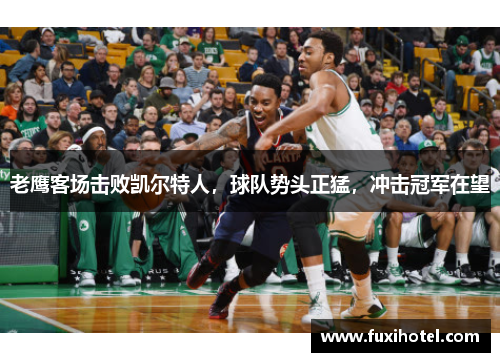 老鹰客场击败凯尔特人，球队势头正猛，冲击冠军在望