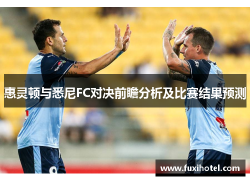 惠灵顿与悉尼FC对决前瞻分析及比赛结果预测