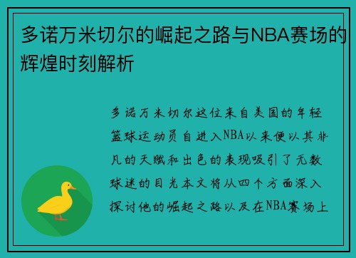 多诺万米切尔的崛起之路与NBA赛场的辉煌时刻解析