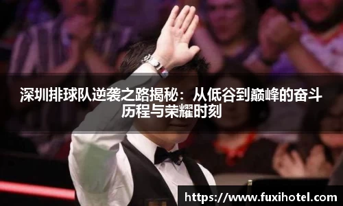 智博19有限公司